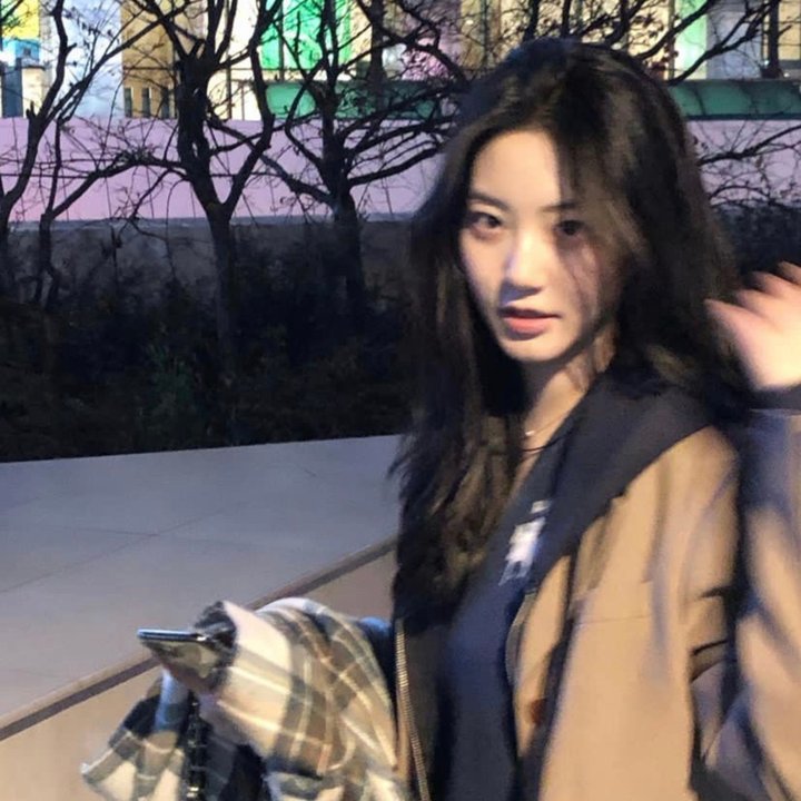 完美革命