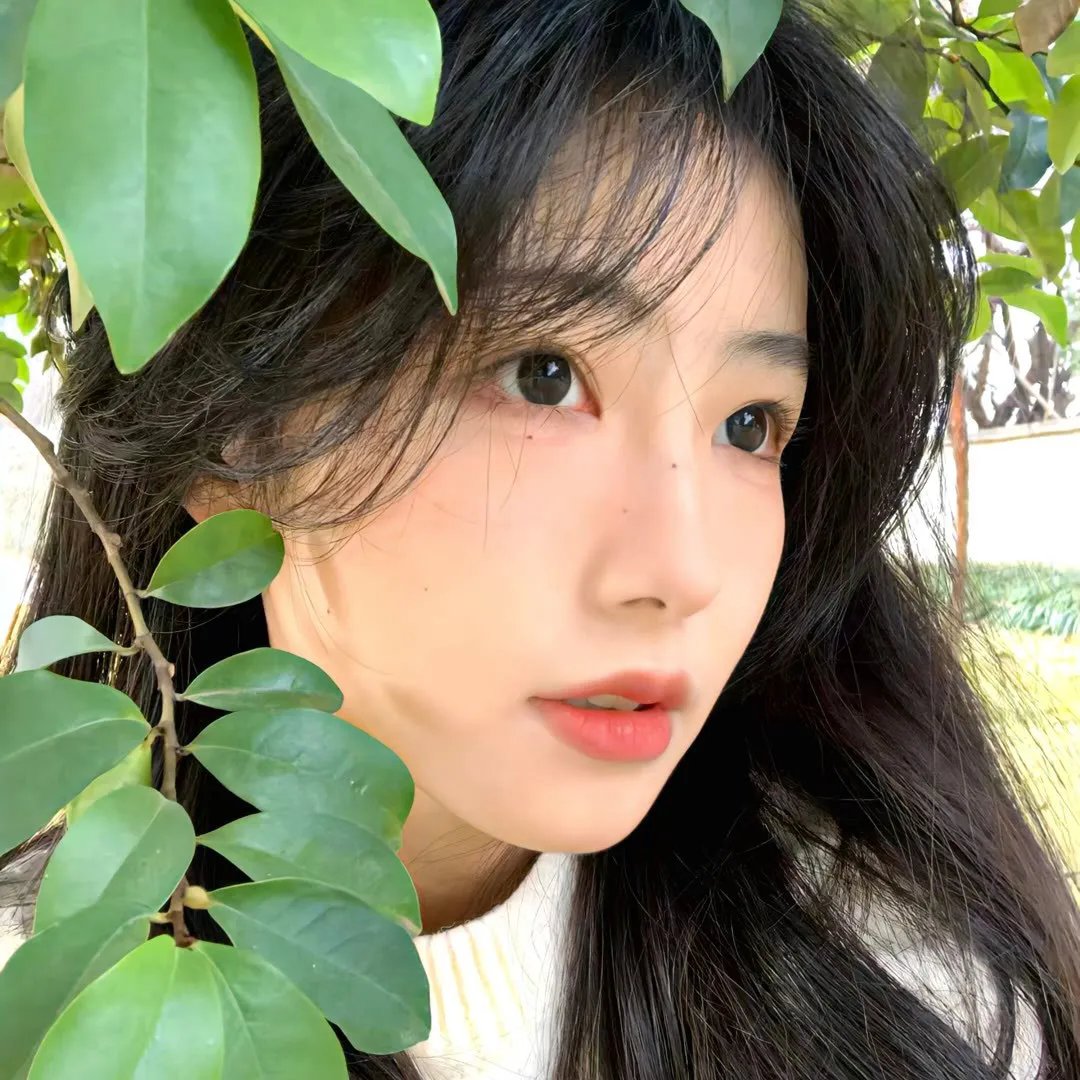 异见者